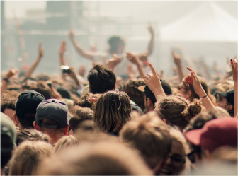 Excited crowd at an event, illustrating the success of web development and digital marketing in sports and entertainment